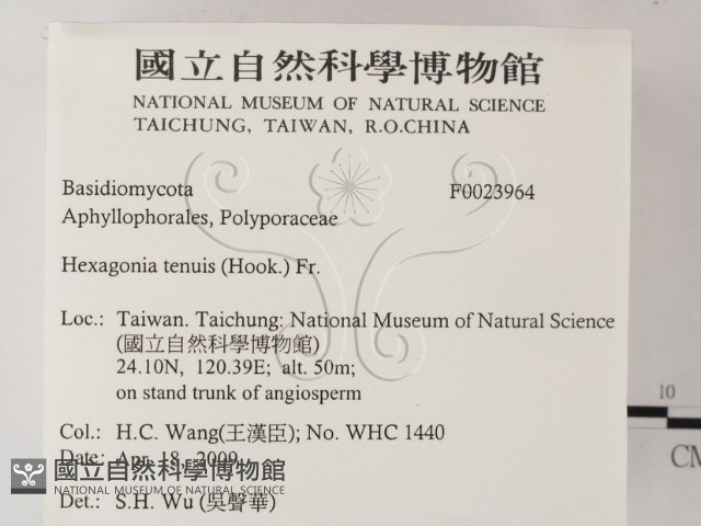 登錄號:F0023964藏品圖，第2張