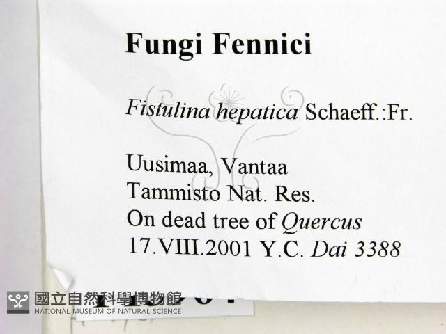 登錄號:F0013964藏品圖，第2張