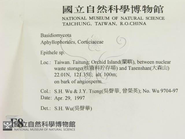 登錄號:F0008664藏品圖，第2張