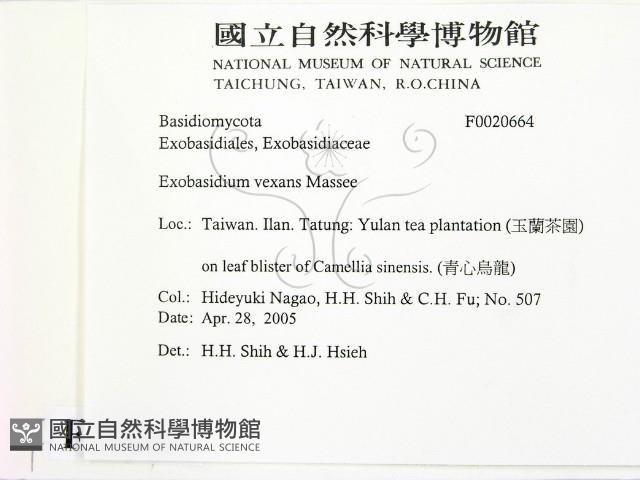 登錄號:F0020664藏品圖，第2張