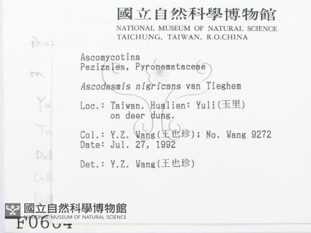 登錄號:F0000664藏品圖，第2張