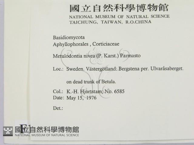 登錄號:F0016664藏品圖，第2張