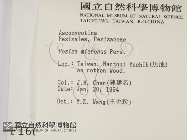 登錄號:F0001664藏品圖，第2張