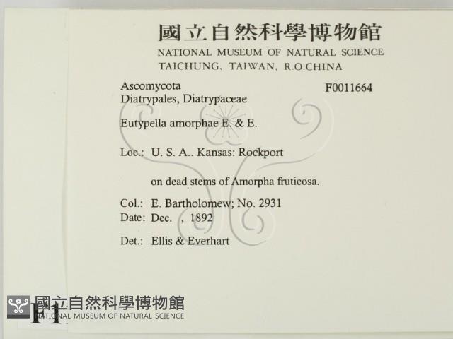 登錄號:F0011664藏品圖，第2張