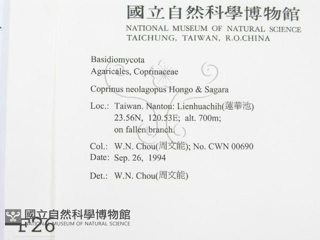 登錄號:F0002664藏品圖，第2張