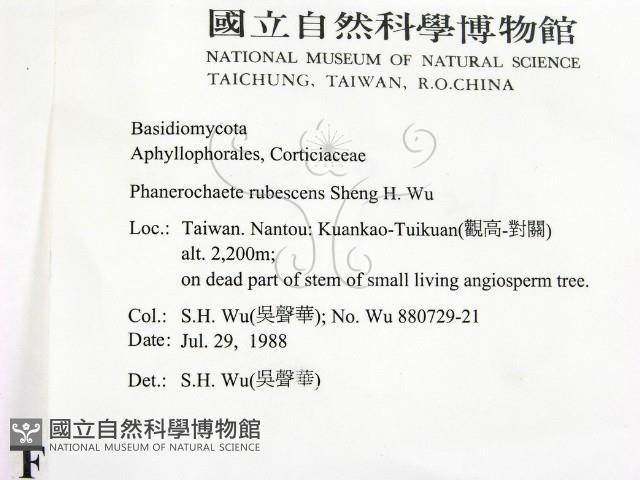 登錄號:F0007664藏品圖，第2張