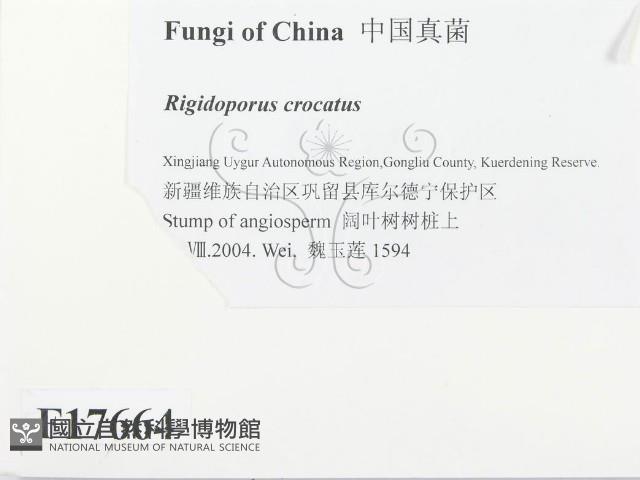 登錄號:F0017664藏品圖，第2張