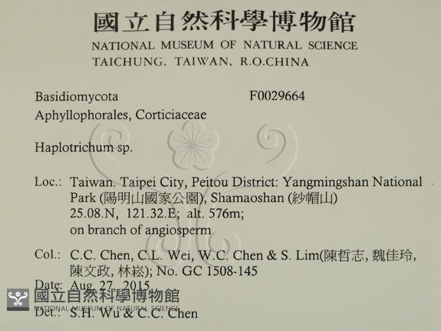 登錄號:F0029664藏品圖，第2張