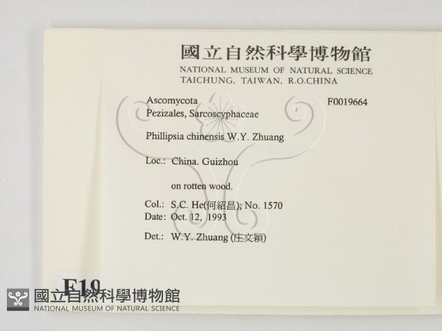 登錄號:F0019664藏品圖，第2張