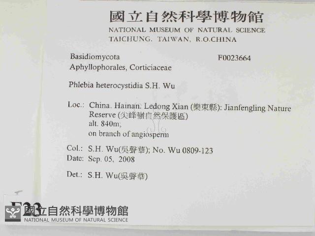 登錄號:F0023664藏品圖，第2張