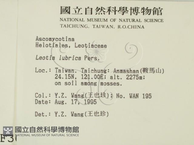 登錄號:F0003664藏品圖，第2張