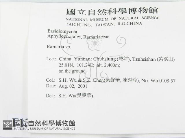 登錄號:F0013664藏品圖，第2張