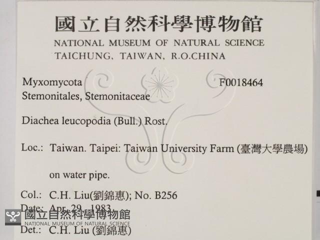 登錄號:F0018464藏品圖，第2張