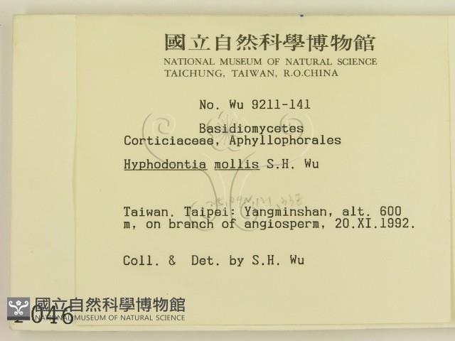 登錄號:F0000464藏品圖，第2張
