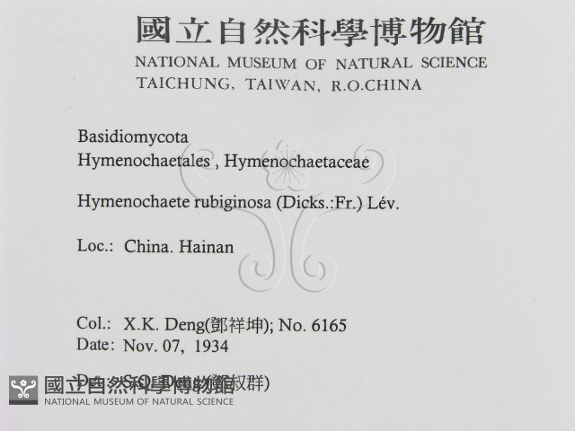 登錄號:F0016464藏品圖，第2張