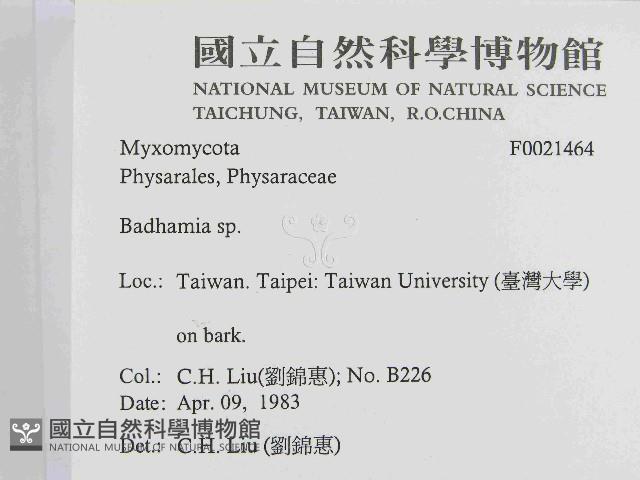 登錄號:F0021464藏品圖，第2張