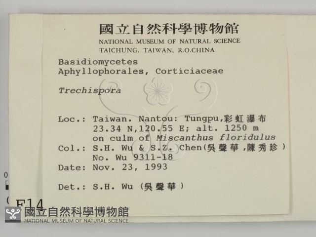 登錄號:F0001464藏品圖，第2張