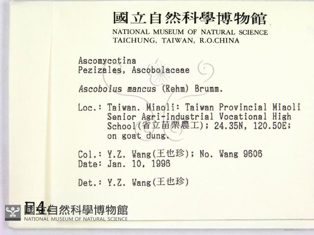 登錄號:F0004464藏品圖，第2張