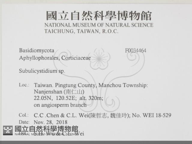 登錄號:F0034464藏品圖，第2張