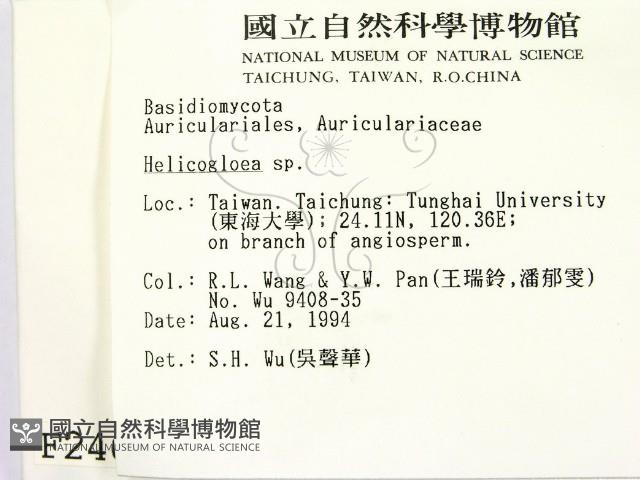 登錄號:F0002464藏品圖，第2張