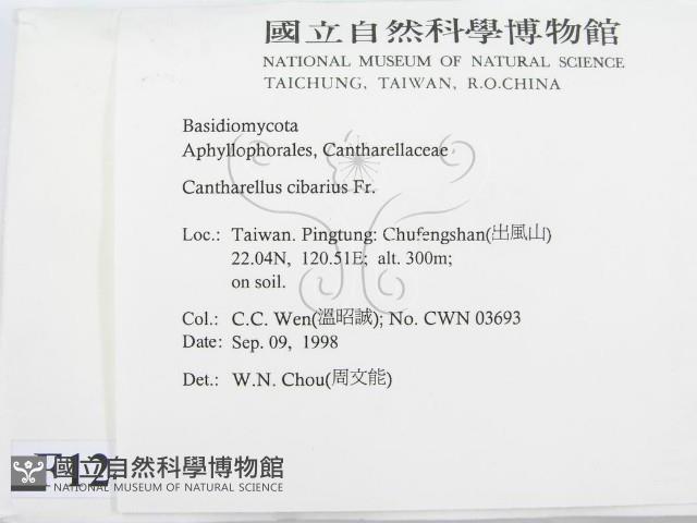 登錄號:F0012464藏品圖，第2張