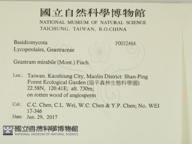 登錄號:F0032464藏品圖，第2張