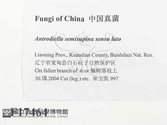 登錄號:F0017464藏品圖，第2張