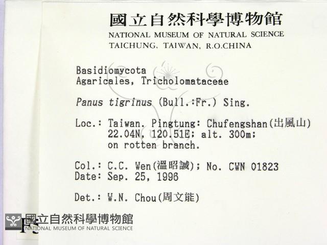 登錄號:F0005464藏品圖，第2張