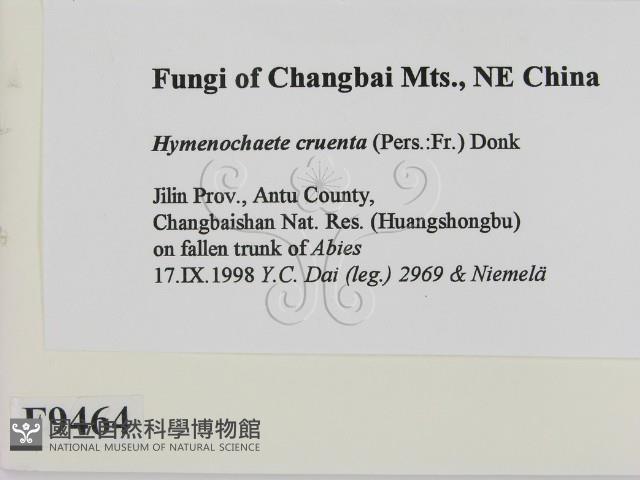 登錄號:F0009464藏品圖，第2張