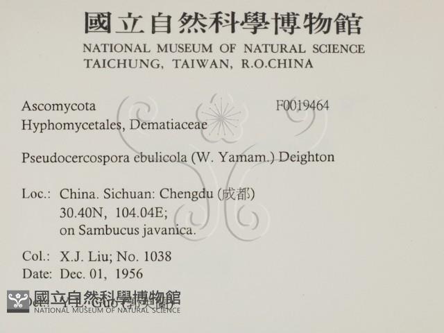 登錄號:F0019464藏品圖，第2張