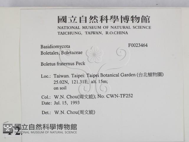 登錄號:F0023464藏品圖，第2張