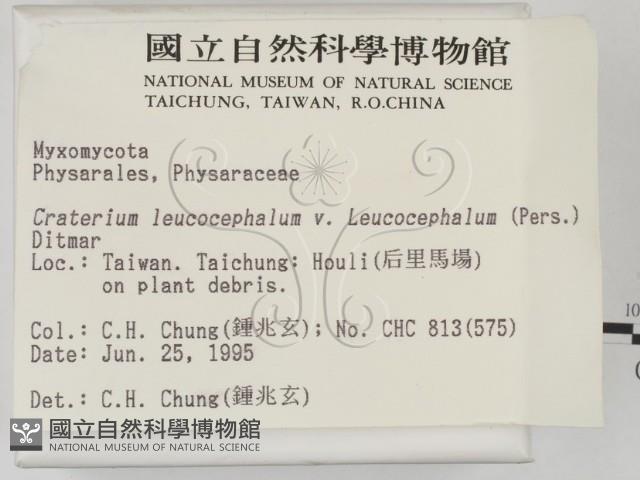 登錄號:F0003464藏品圖，第2張