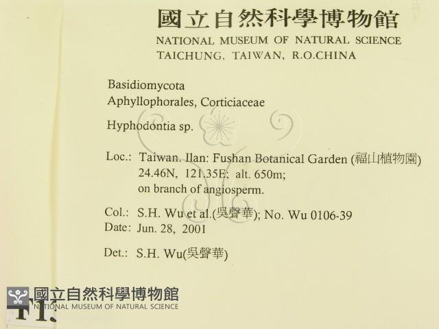 登錄號:F0013464藏品圖，第2張