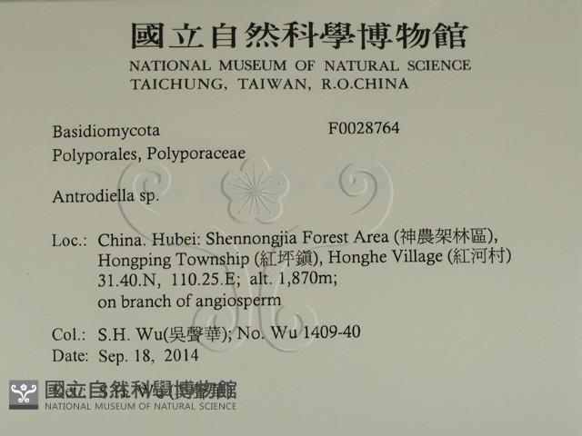 登錄號:F0028764藏品圖，第2張
