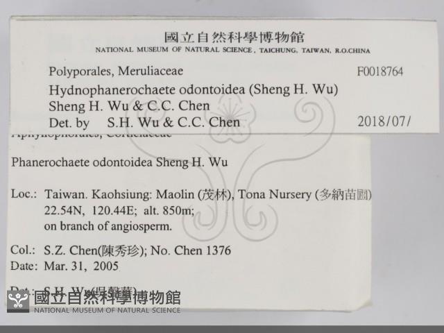 登錄號:F0018764藏品圖，第2張