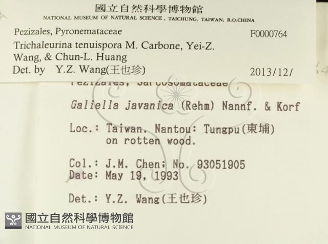 登錄號:F0000764藏品圖，第2張