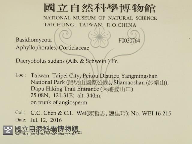 登錄號:F0030764藏品圖，第2張