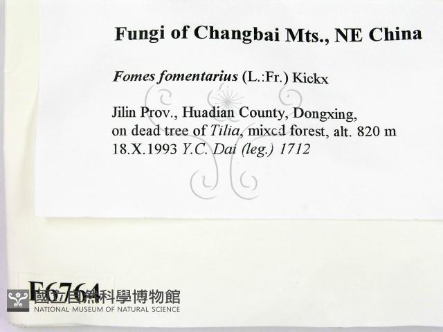 登錄號:F0006764藏品圖，第2張