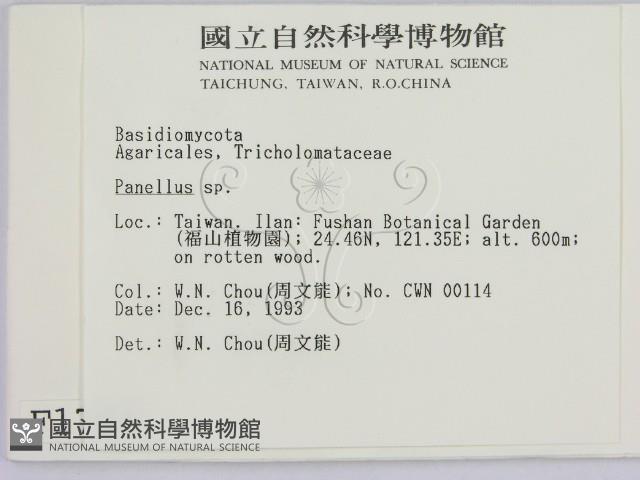 登錄號:F0001764藏品圖，第2張