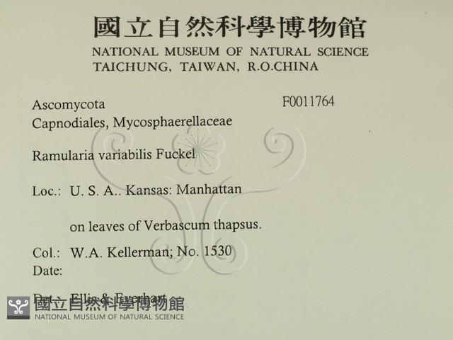 登錄號:F0011764藏品圖，第2張