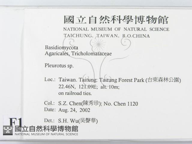 登錄號:F0014764藏品圖，第2張
