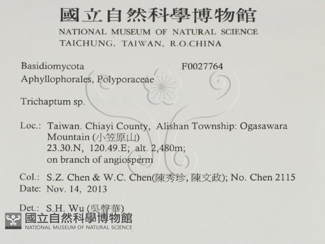 附毛菌屬藏品圖，第2張