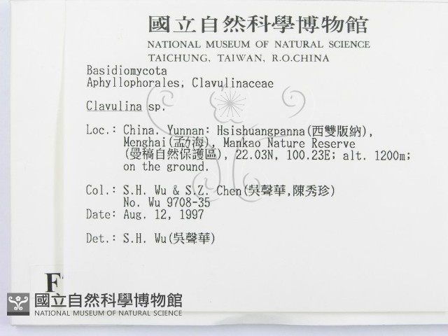 登錄號:F0007764藏品圖，第2張