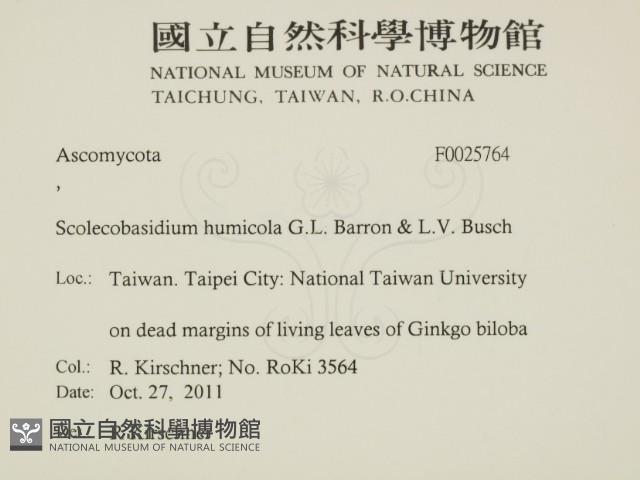 登錄號:F0025764藏品圖，第2張