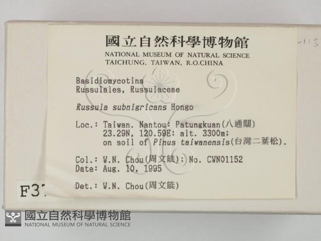 登錄號:F0003764藏品圖，第2張