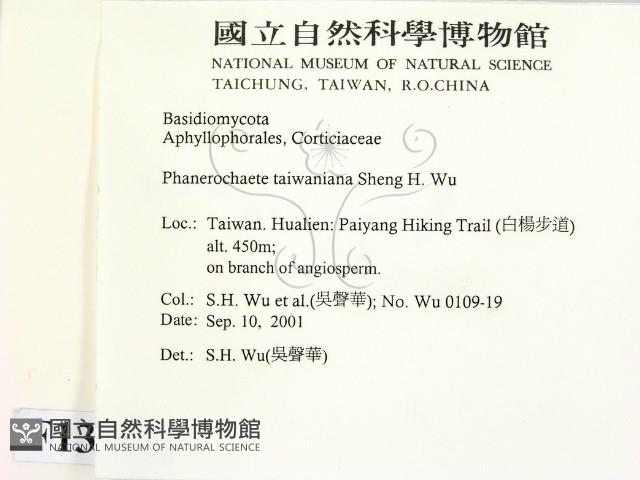 登錄號:F0013764藏品圖，第2張