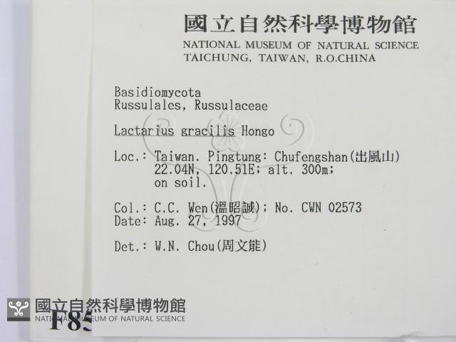 登錄號:F0008564藏品圖，第2張