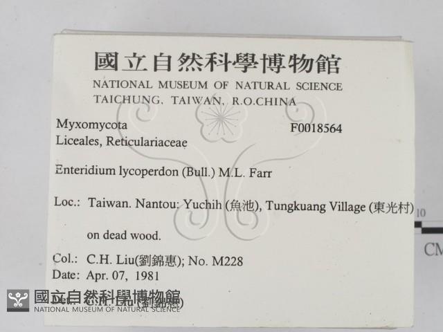 登錄號:F0018564藏品圖，第2張