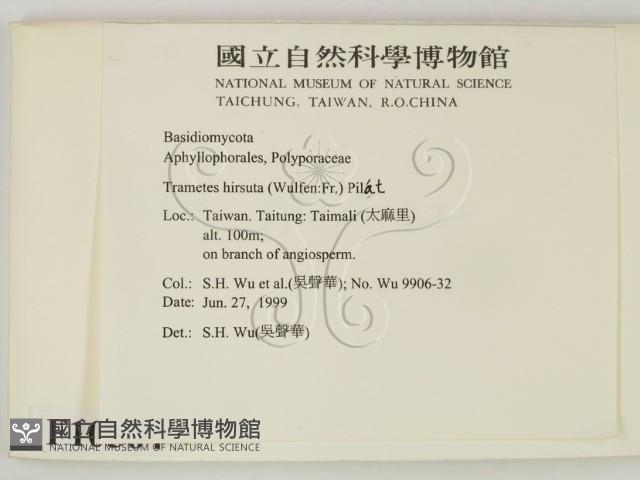 登錄號:F0010564藏品圖，第2張