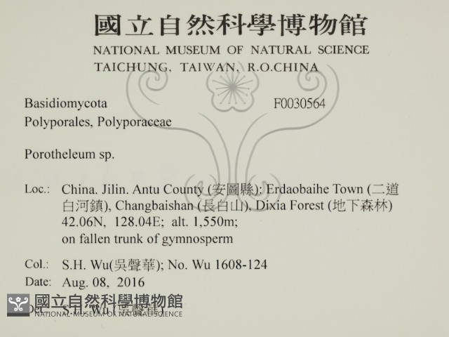 登錄號:F0030564藏品圖，第2張